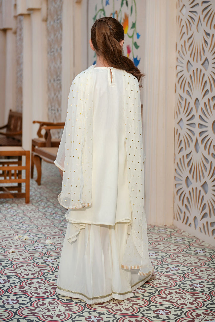 Chiffon Hand Adda Work 3 Pc Suit - Wear Ochre