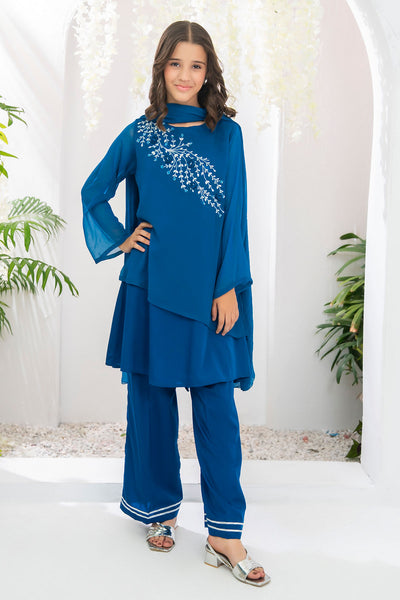 Chiffon Hand Adda Work 3 Pc Suit