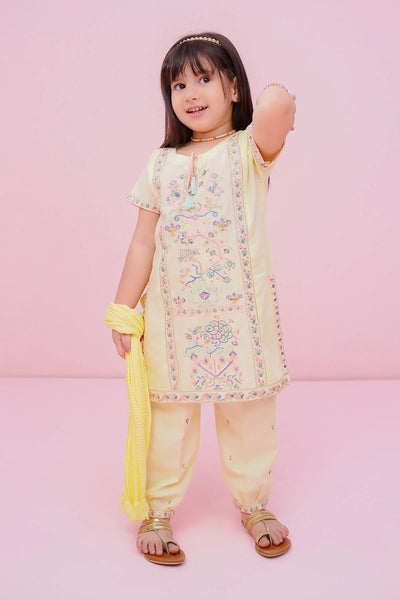 Cotton Embroidered 3 Pc Suit