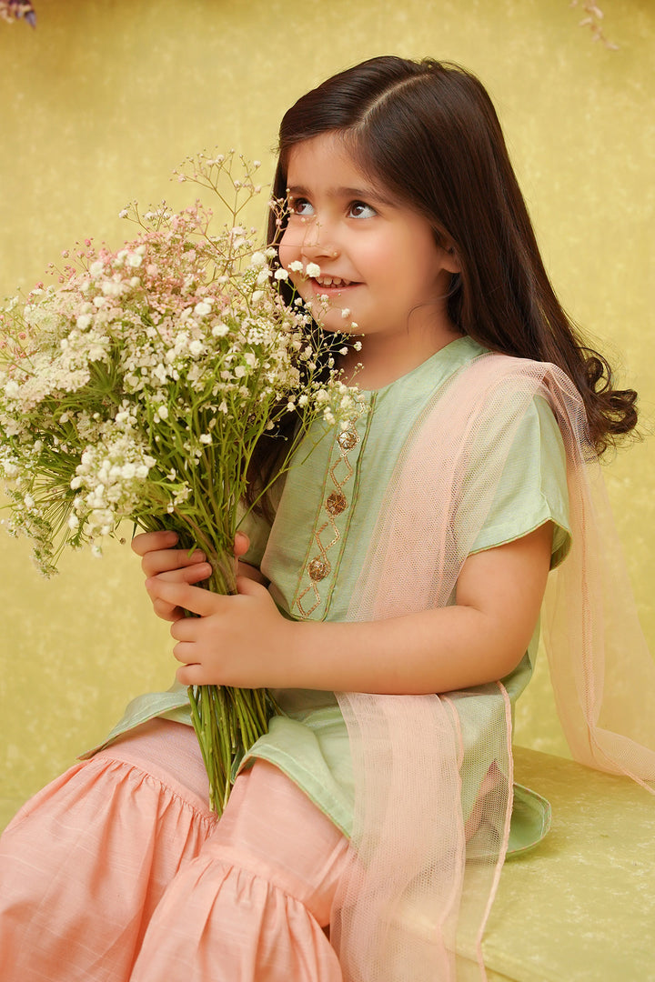 Cotton Silk Embroidered 3 Pc Suit - Wear Ochre
