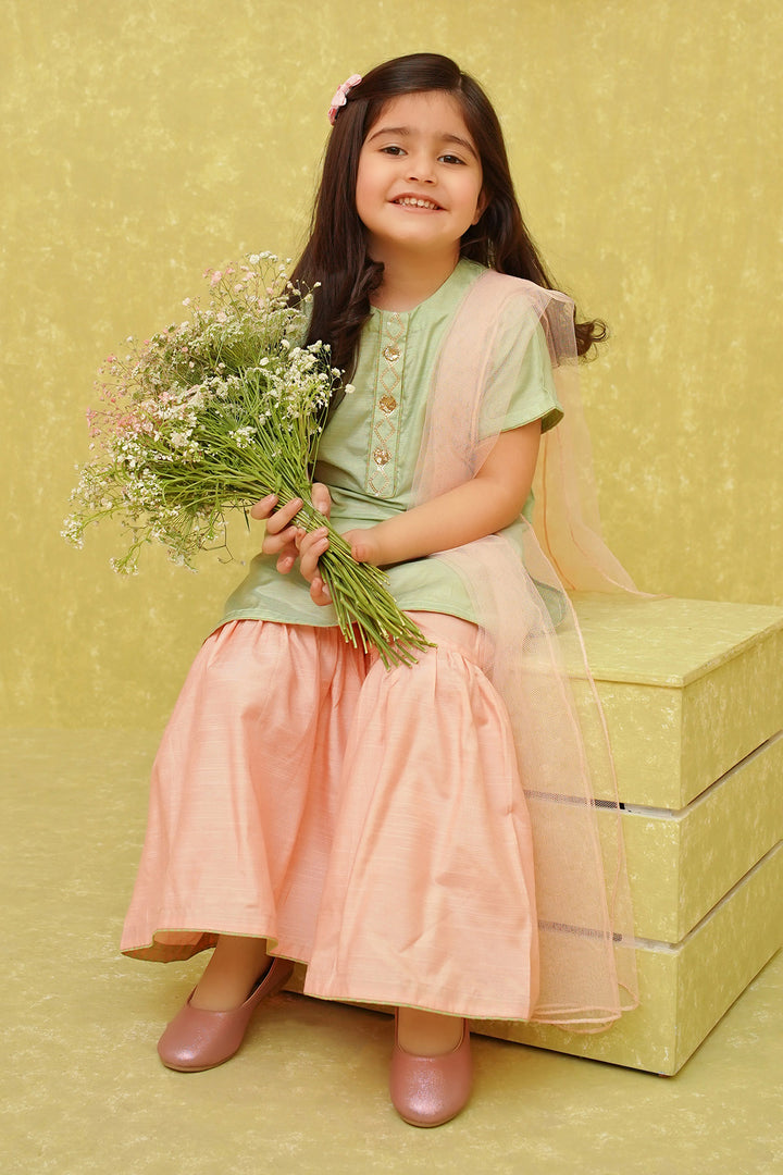Cotton Silk Embroidered 3 Pc Suit - Wear Ochre