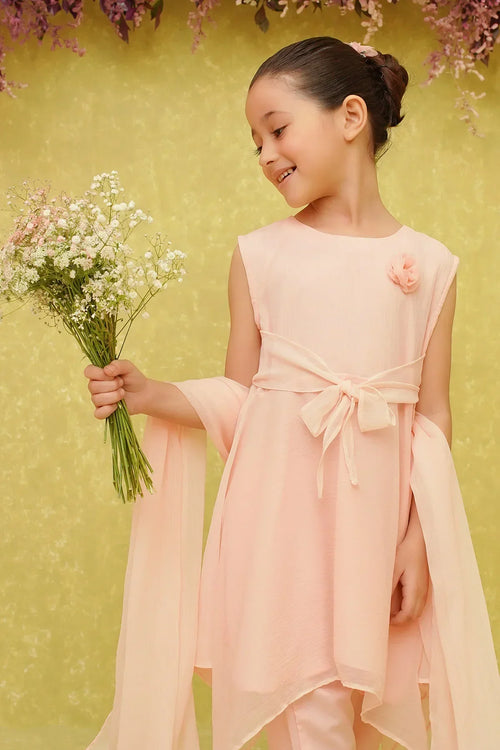 Chiffon Embroidered 3 Pc Suit - Wear Ochre