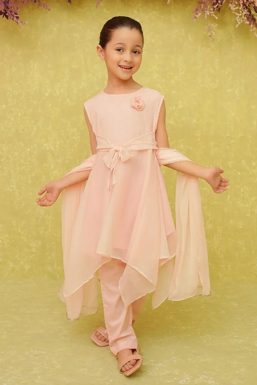 Chiffon Embroidered 3 Pc Suit - Wear Ochre