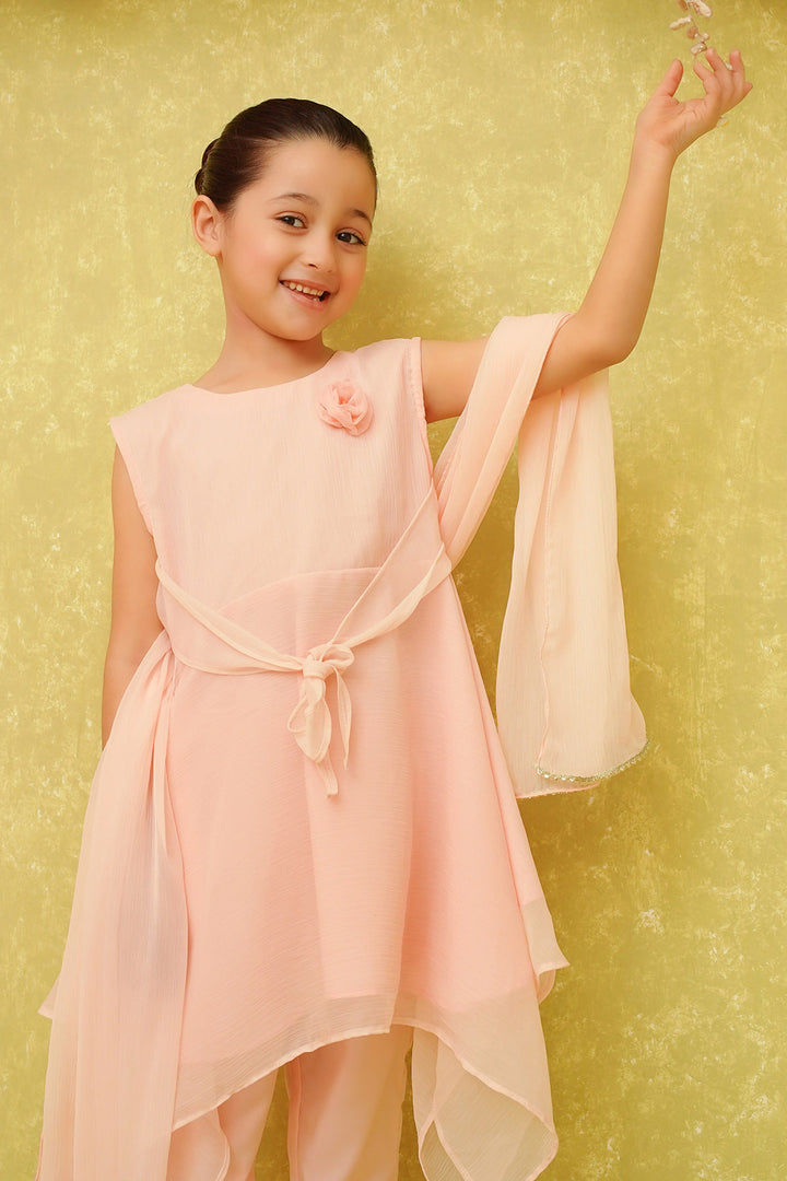 Chiffon Embroidered 3 Pc Suit - Wear Ochre