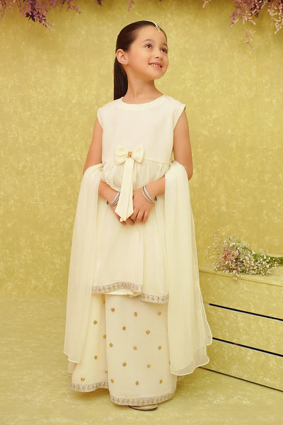 Chiffon Embroidered 3 Pc Suit