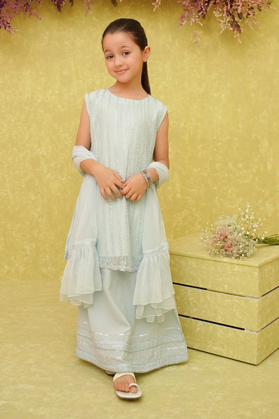 Chiffon Embroidered 3 Pc Suit