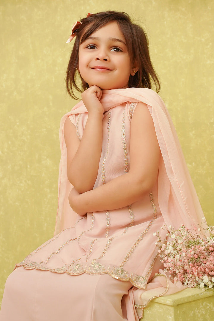 Chiffon Embroidered 3 Pc Suit - Wear Ochre