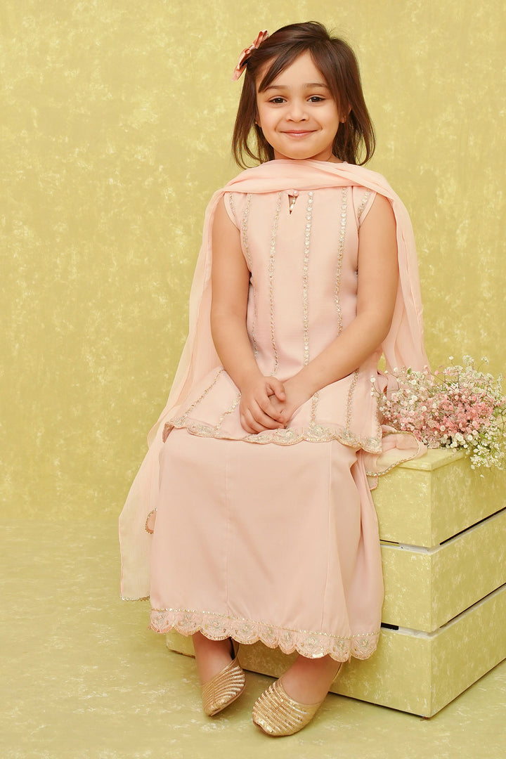 Chiffon Embroidered 3 Pc Suit - Wear Ochre