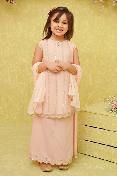 Chiffon Embroidered 3 Pc Suit