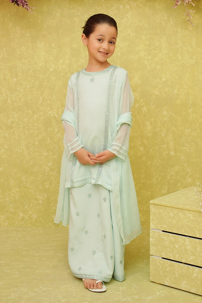 Chiffon Embroidered 3 Pc Suit