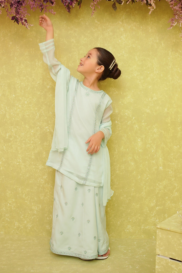 Chiffon Embroidered 3 Pc Suit - Wear Ochre