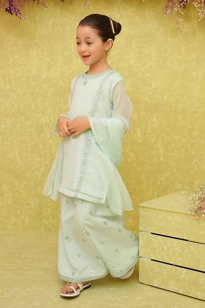Chiffon Embroidered 3 Pc Suit - Wear Ochre