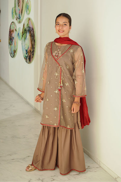 Organza Embroidered 3 Pc Suit
