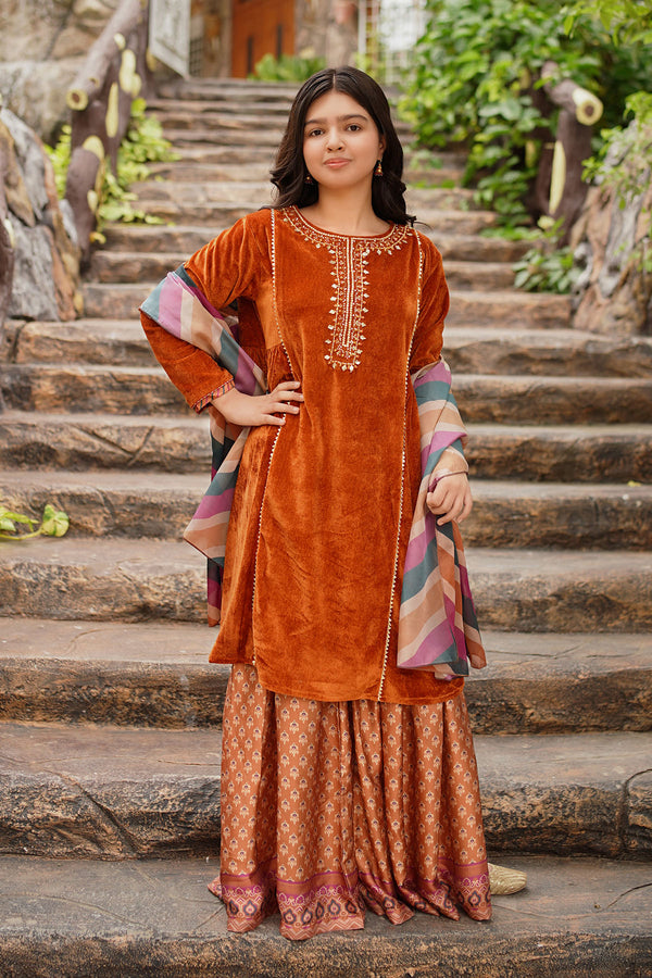 Velvet Hand Adda Work 3 Pc Suit - Wear Ochre