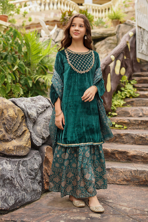 Velvet Hand Adda Work 3 Pc Suit - Wear Ochre
