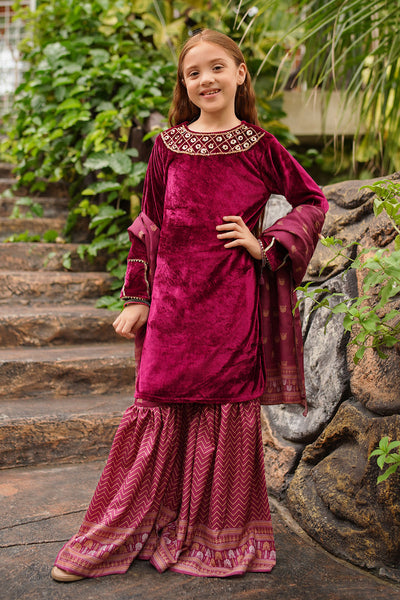 Velvet Hand Adda Work 3 Pc Suit