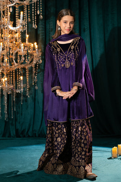 Velvet Hand Adda Work 3 Pc Suit