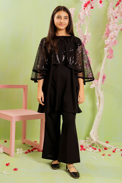 Sequence Embroidered Net 2 Pc Suit