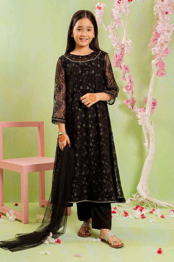 Exquisite Net Hand Adda Work 3-Pc Suit – Elegant Black Net Maxi Dress with Intricate Embroidery.
