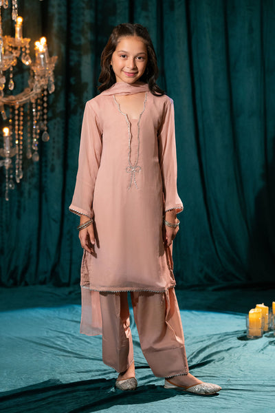 Chiffon Hand Adda Work 3 Pc Suit