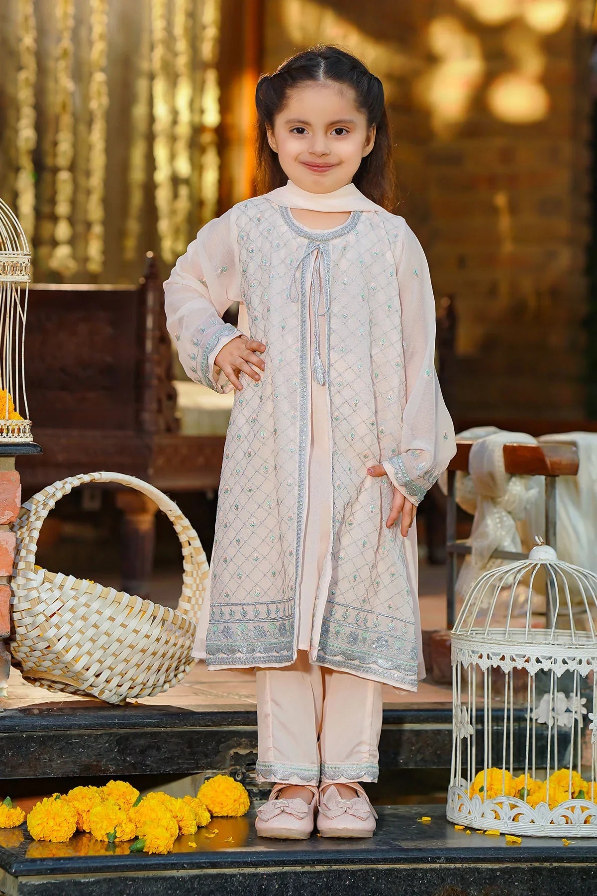 Chiffon Embroidered Dresses in Pakistan