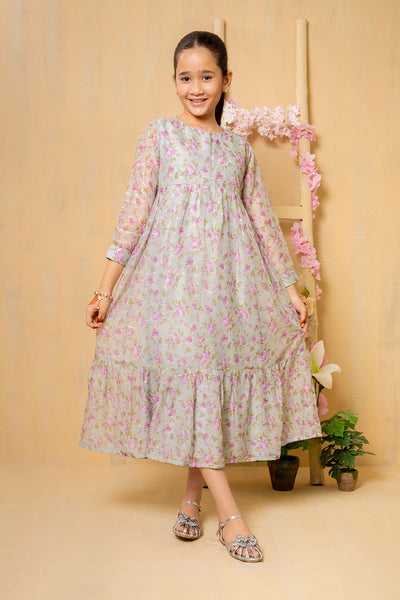 Sequence Embroidered/Printed Chiffon Dress