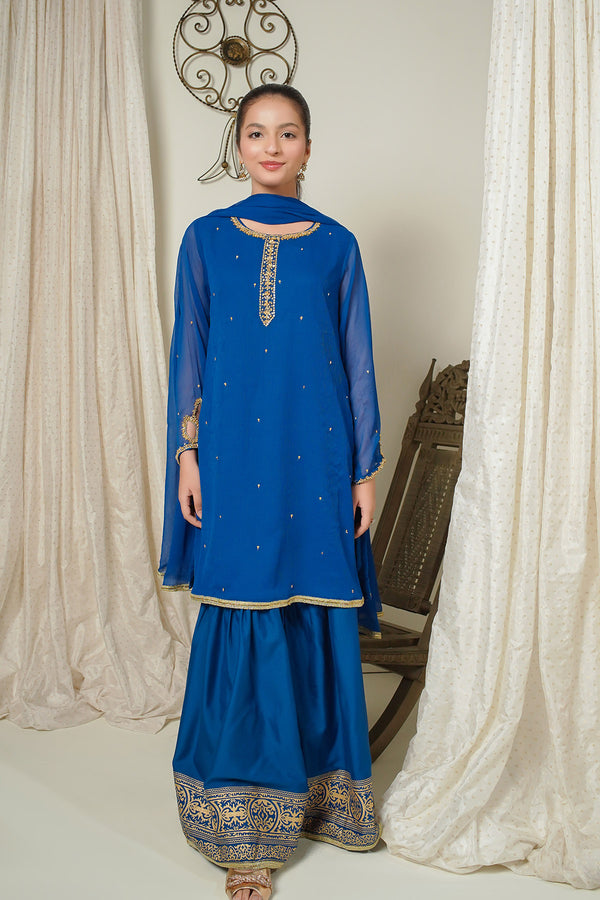 Shop the Chiffon Hand Adda Work 3 Pc Suit in sky blue. This exquisite embroidered chiffon dress is perfect for formal occasions