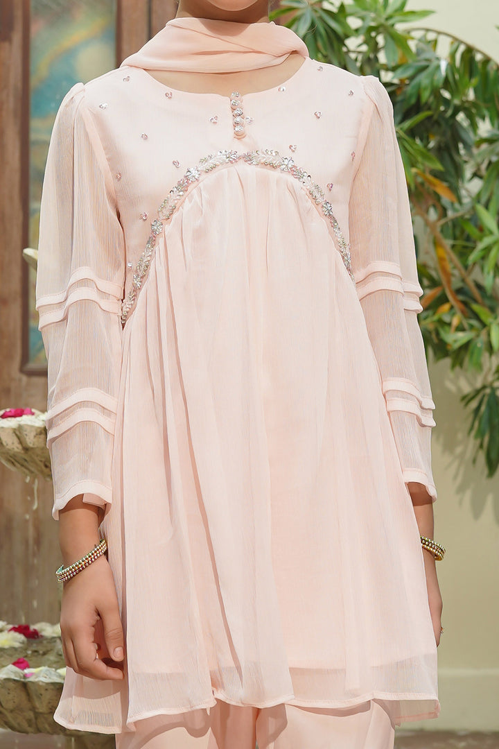 Chiffon Hand Adda Work 3 Pc Suit - Wear Ochre