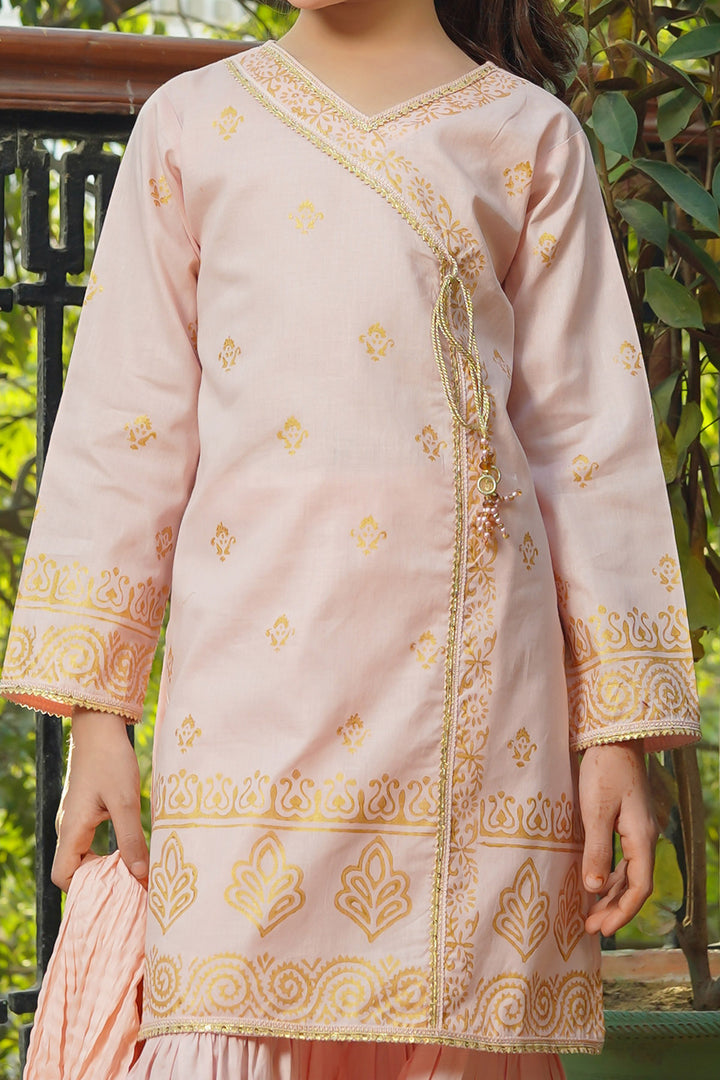 Cotton Printed 3 Pc Suit - Wear Ochre