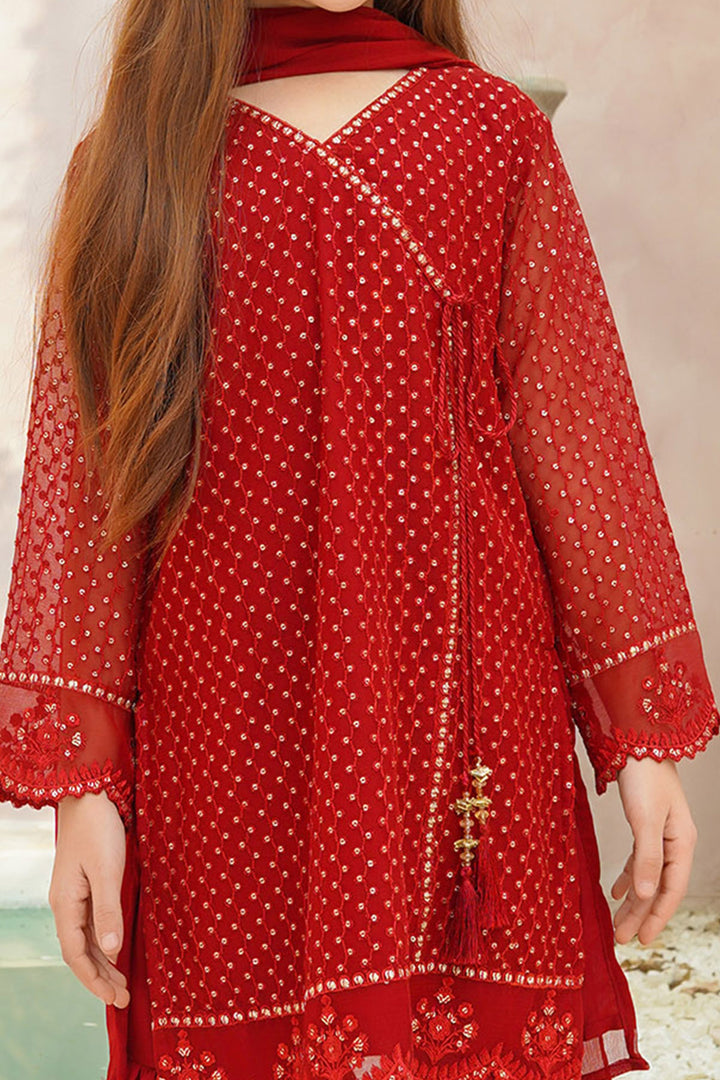Chiffon Embroidered 3 Pc Suit - Wear Ochre