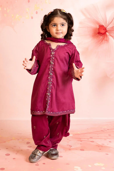 Cotton Embroidered 3 Pc Suit