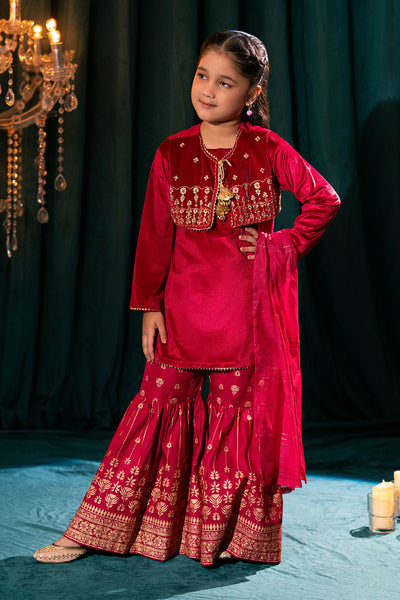Velvet Hand Adda Work 3 Pc Suit