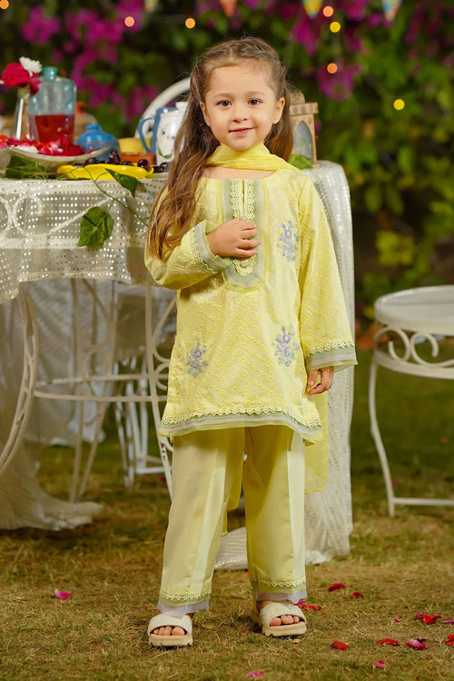 Best Chikankari Embroidered 3 Pc Suit - Wear Ochre -