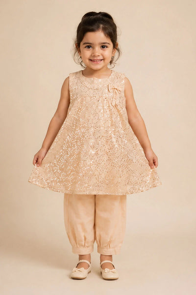 Sequence Embroidered Net 2 Pc Suit