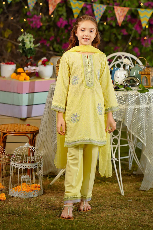 Best Chikankari Embroidered 3 Pc Suit - Wear Ochre -