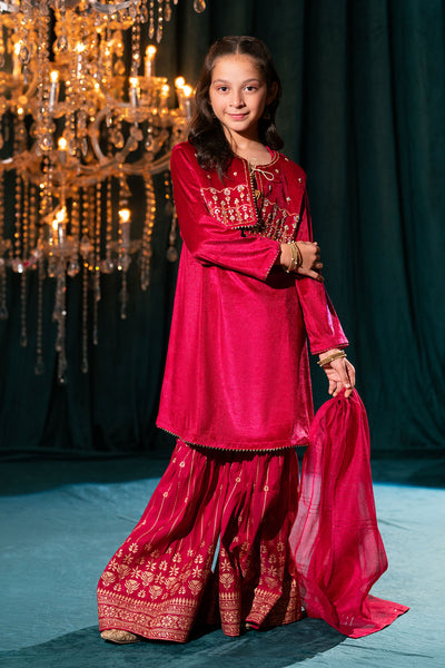 Velvet Hand Adda Work 3 Pc Suit