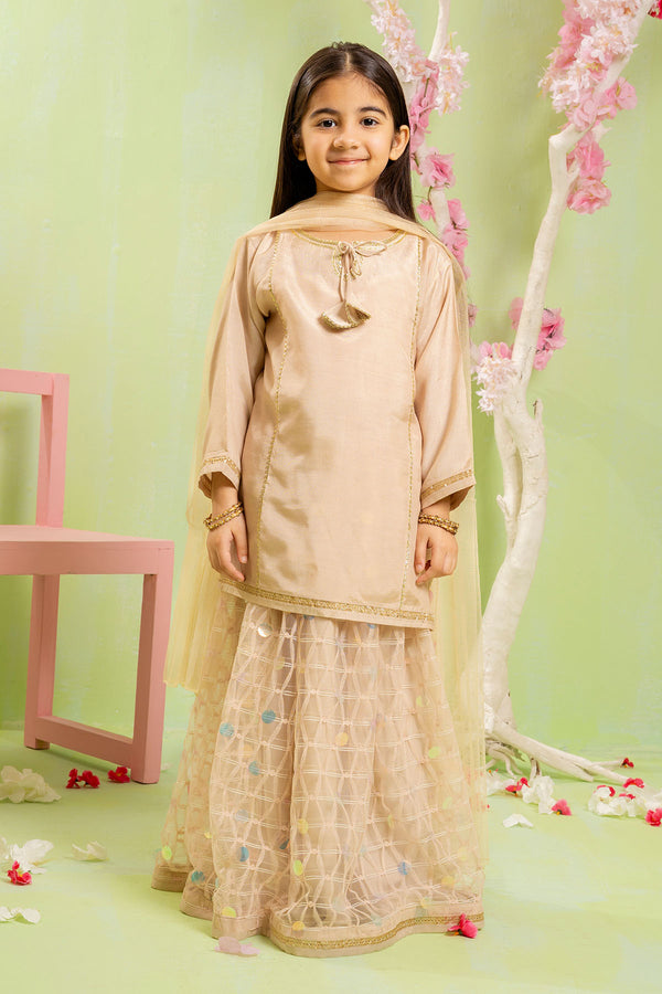 Shop the Sequence Embroidered Net 3 Pc Suit in pink—stylish, elegant, and comfortable dress for kids.