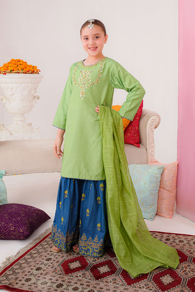 Cotton Silk Hand Adda Work 3 Pc Suit