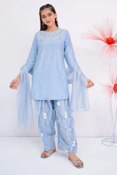 Cotton Silk Hand Adda Work 3 Pc Suit