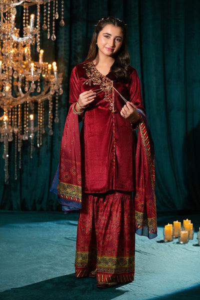 Velvet Hand Adda Work 3 Pc Suit