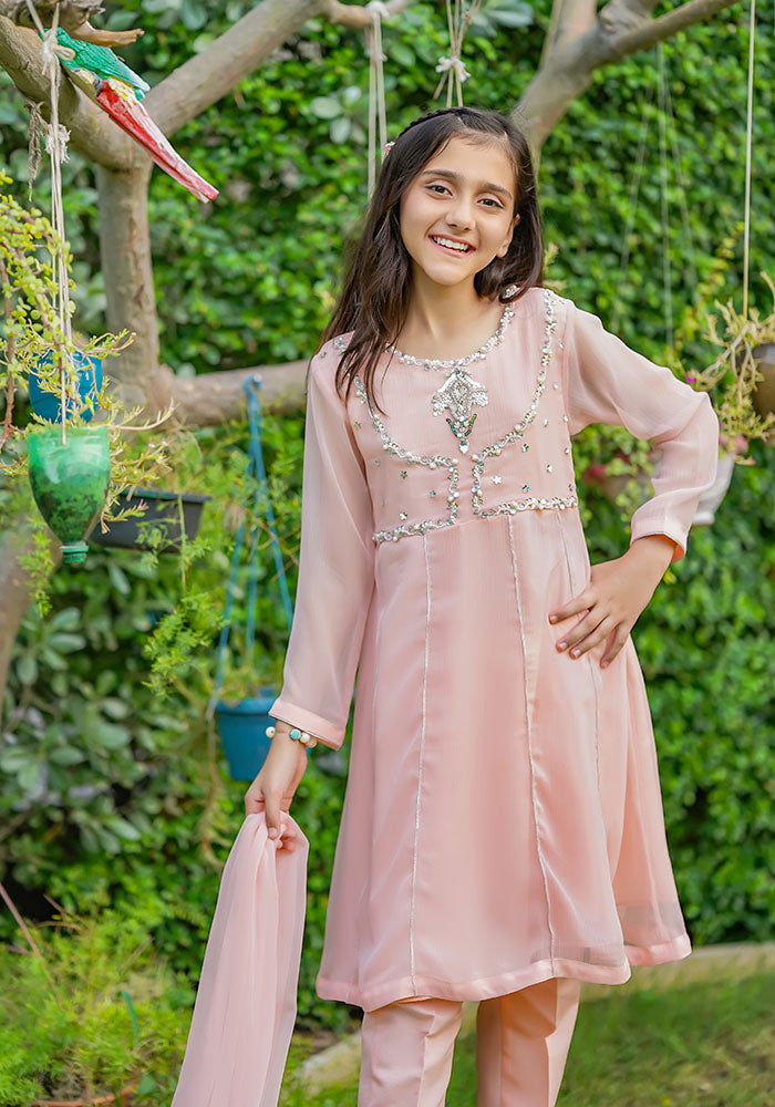Chiffon Hand Work 3 Pc Suit - Wear Ochre
