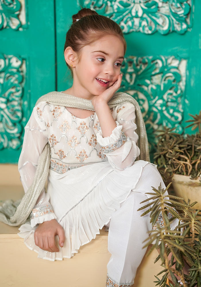 Chiffon Embroidered 3 Pc Suit - Wear Ochre