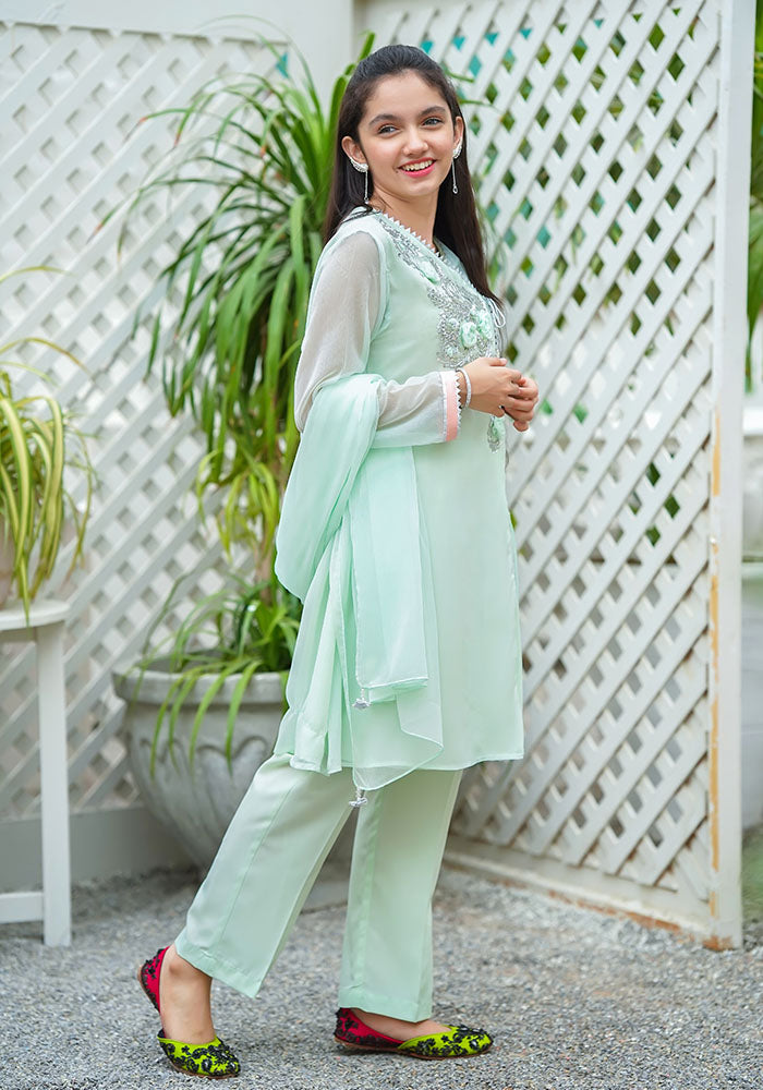 Chiffon Hand Work 3 Pc Suit - Wear Ochre