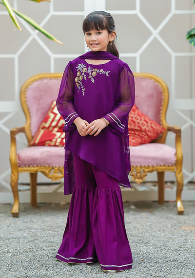 Chiffon Hand Work 3 Pc Suit