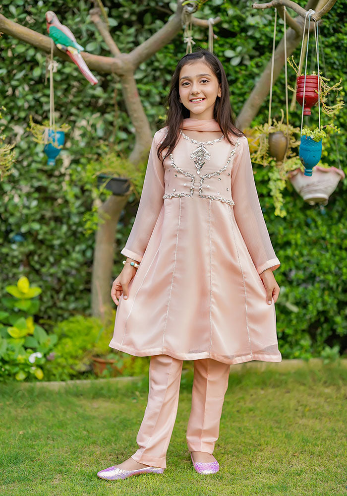 Chiffon Hand Work 3 Pc Suit - Wear Ochre