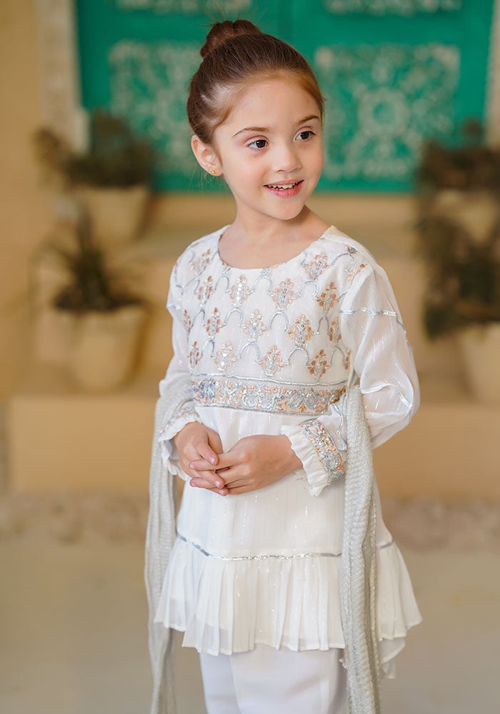 Chiffon Embroidered 3 Pc Suit - Wear Ochre