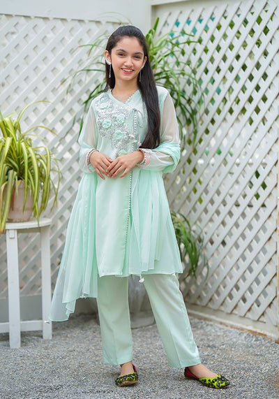 Chiffon Hand Work 3 Pc Suit
