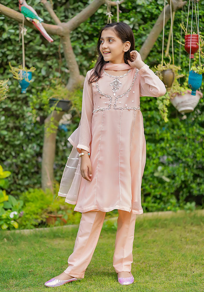 Chiffon Hand Work 3 Pc Suit - Wear Ochre