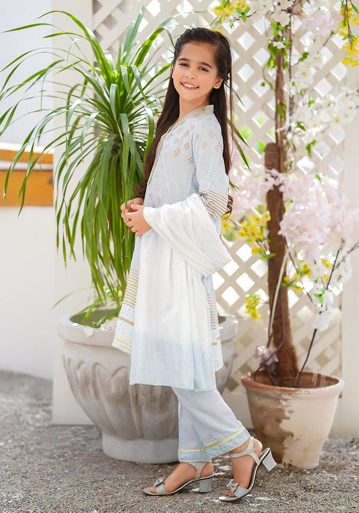 Cotton Silk Block Printed 3 Pc Suit - Wear Ochre