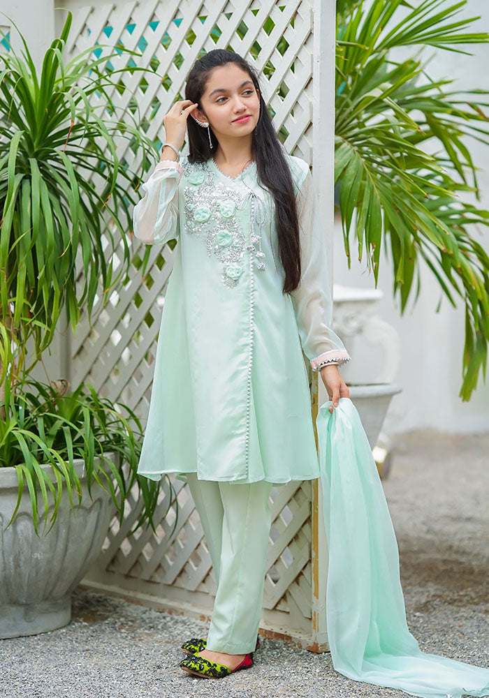 Chiffon Hand Work 3 Pc Suit - Wear Ochre